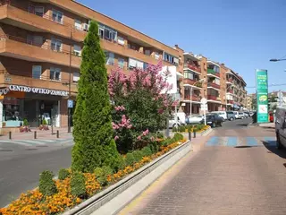 UPyD: "La bajada del IBI en Boadilla podría haber sido mucho mayor"