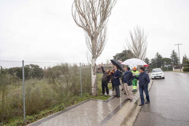 El Ayuntamiento retira los árboles secos o con riesgo de caída señalados en un estudio técnico