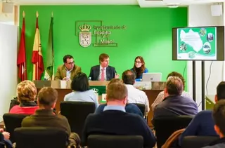 Un estudio confirma el buen estado fitosanitario del 96% del arbolado de alineación de Boadilla