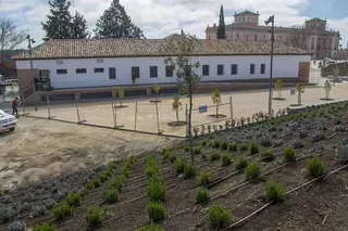 El Aula Medioambiental ofrece este fin de semana a las familias un taller y una ruta interpretativa por el monte