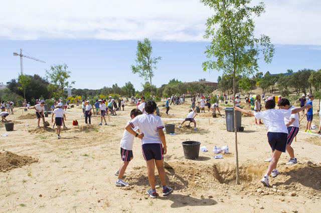 Los vecinos que hayan sido padres en 2015 podrán plantar un árbol que recuerde el nacimiento de su bebé