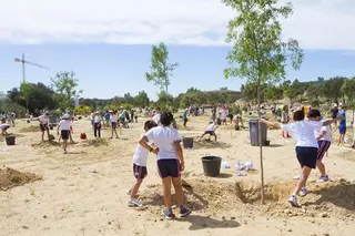 Los vecinos que hayan sido padres en 2015 podrán plantar un árbol que recuerde el nacimiento de su bebé