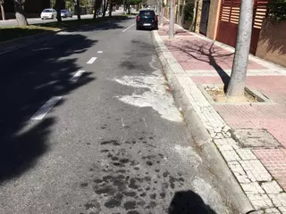 PSOE denuncia el 'lamentable' estado de la calle Monte Segovia