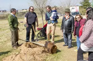 Más de 600 escolares plantan casi 200 árboles en Olivar de Mirabal