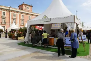 El Ayuntamiento licita de nuevo el Mercado del Palacio para favorecer una mayor concurrencia