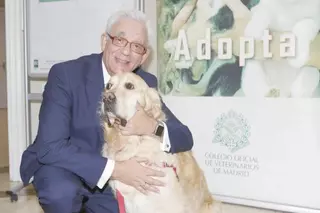 La terapia asistida con mascotas se extiende a tres hospitales madrileños