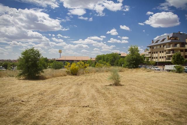 El Ayuntamiento insta a los vecinos a que desbrocen y limpien sus parcelas para evitar incendios