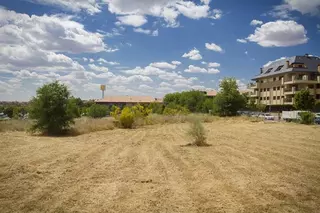 El Ayuntamiento insta a los vecinos a que desbrocen y limpien sus parcelas para evitar incendios