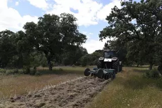 La Comunidad de Madrid realiza labores de repaso y mantenimiento en los cortafuegos del monte