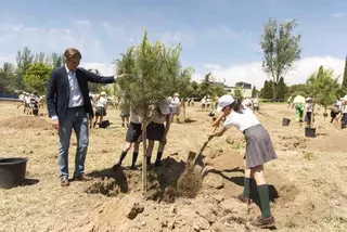 Más de cien escolares participan en una forestación en la urbanización Las Lomas