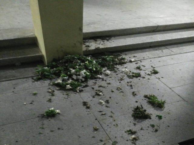 Alternativa por Boadilla denuncia actos vandálicos e inseguridad en el centro del municipio