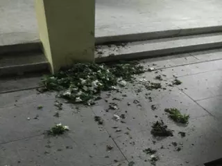 Alternativa por Boadilla denuncia actos vandálicos e inseguridad en el centro del municipio