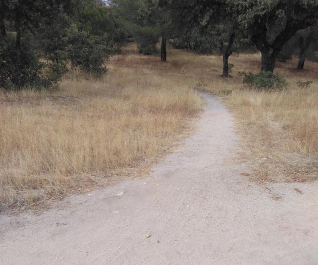 Alternativa por Boadilla propone medidas para evitar el rápido deterioro del monte