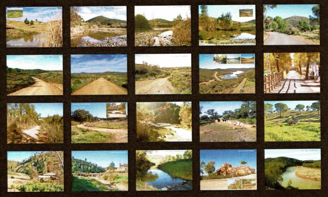 El Grupo Municipal Mixto solicitará la creación de un catálogo de caminos públicos