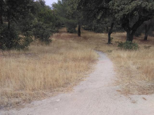 Aprobada la propuesta del Grupo Mixto para “Inventariar y proteger los caminos vecinales y la creación de un catálogo”