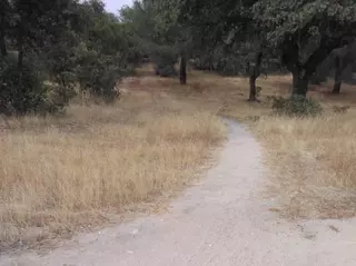 Aprobada la propuesta del Grupo Mixto para “Inventariar y proteger los caminos vecinales y la creación de un catálogo”