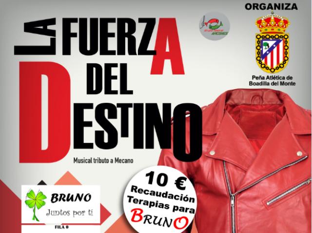 'La Fuerza del Destino', un espectáculo solidario para ayudar a nuestro vecino Bruno