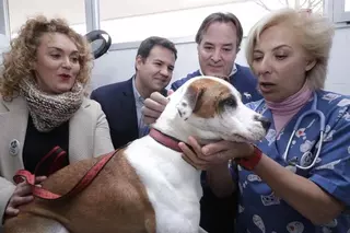 La Comunidad destina un millón de euros para facilitar a los municipios el cumplimiento de la Ley de Protección de Animales