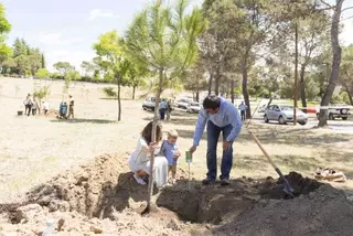Los bebés nacidos en 2016 podrán tener un árbol en Boadilla con su nombre y fecha de nacimiento