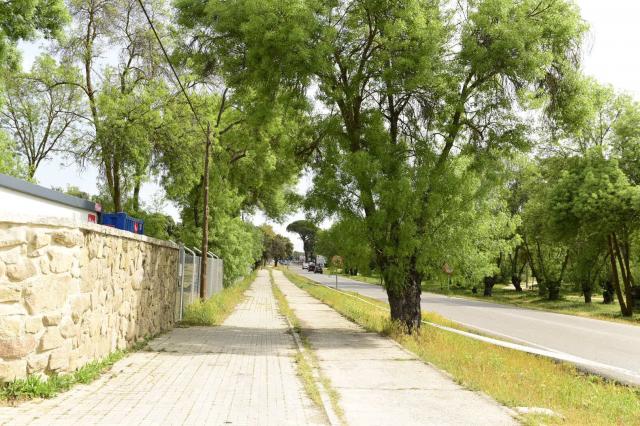 Nueva senda peatonal entre La Milagrosa y la intersección de la M-513 con la Avda Adolfo Suárez