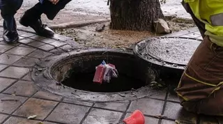 El Ayuntamiento está realizando la campaña anual de control de plagas e insectos en el municipio