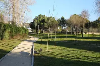 Beatriz Martínez propondrá al Pleno que Boadilla del Monte sea un municipio libre de glifosato