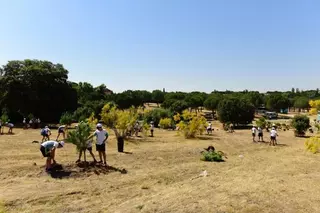 Casi 300 escolares participan en la forestación de una zona despoblada de arbolado en Las Lomas 