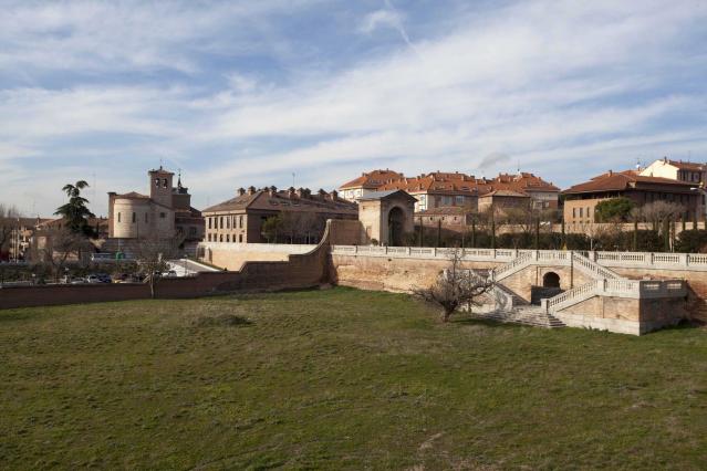 En marcha un programa piloto para la captura de la cotorra argentina en Boadilla