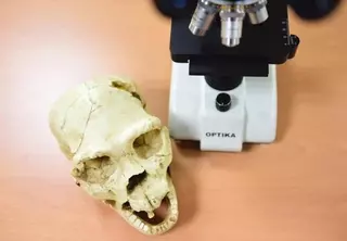 Club de Ciencia Boadilla, primera asociación de ámbito científico en la localidad