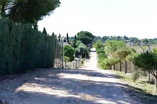 Avanzan las obras de cambio de iluminación en la calle Playa de San Juan de Boadilla