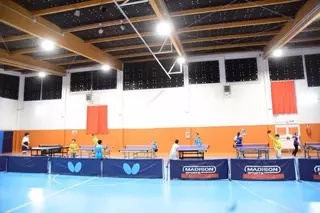 Cambio en la iluminación del pabellón polideportivo y el comedor del CEIP Teresa Berganza