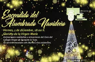 Boadilla da la bienvenida a la Navidad con el encendido de luces