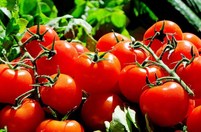 Boadilla será el primer municipio europeo 100% vegetariano