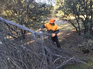Trabajos de limpieza y mantenimiento en los cortafuegos del monte norte de Boadilla
