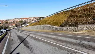 Más de 8.500 arbustos adornan el talud acondicionado en la Avenida de España de Boadilla