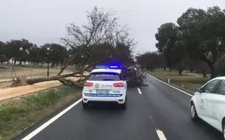 La lluvia y el viento provoca hasta 600 incidencias en la Comunidad de Madrid