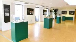 Boadilla amplía la exposición sobre los hallazgos arqueológicos del cerro de San Babilés