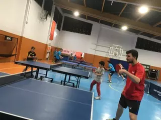 El Boadilla Tenis de Mesa lídera todos los campeonatos y se juega el ascenso este sábado