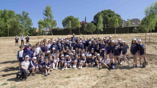 Más de setecientos escolares plantan 200 árboles entre Valdepastores y El Encinar