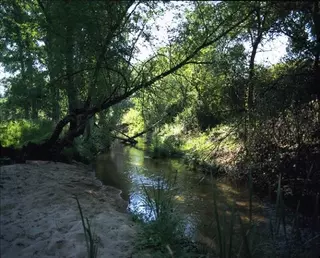 Beatriz Martínez solicitará un Plan Rector para el Parque Regional del curso Medio del Guadarrama