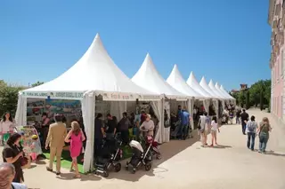 Boadilla celebra este fin de semana su Feria del Libro con el cómic como protagonista