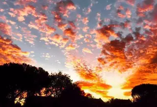 Ya podemos conocer la calidad del aire en Boadilla en tiempo real