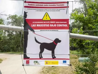 Comunidad de Madrid y Ayuntamiento recuerdan a los propietarios de perros que estos deben estar controlados en el monte