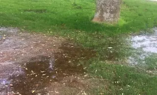 Ciudadanos insta al Ayuntamiento a que devuelva el importe de las entradas de la piscina municipal de verano