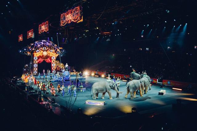 Beatriz Martínez volverá a solicitar al Ayuntamiento declarar Boadilla libre de circos con animales