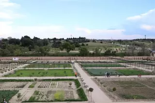 Boadilla inaugurará este domingo las huertas del palacio del Infante D. Luis con visitas teatralizadas y un concierto de música clásica