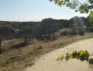 El PSOE de Boadilla se opone a las obras de ampliación del colegio Higlands por carecer de evaluación de impacto ambiental