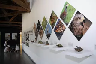 El Aula Medioambiental propone un otoño con rutas, talleres, cursos, conferencias y voluntariado