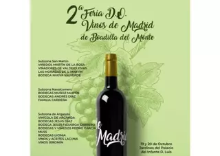 La II Feria de la D.O Vinos de Madrid reúne a 15 bodegas el próximo fin de semana en Boadilla