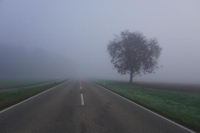 Brumas y bancos de niebla matinales en la jornada de hoy